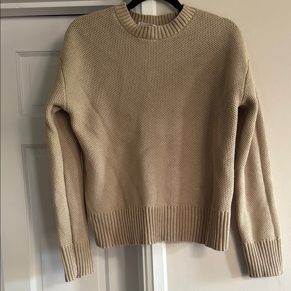 Everlane Women's Crew Neck Sweater - Beige